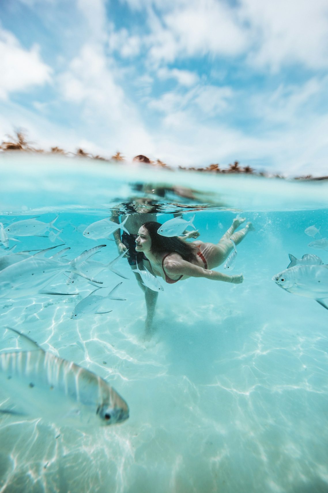 Plongée et Snorkeling Le Guide Plongée et Snorkeling aux Maldives