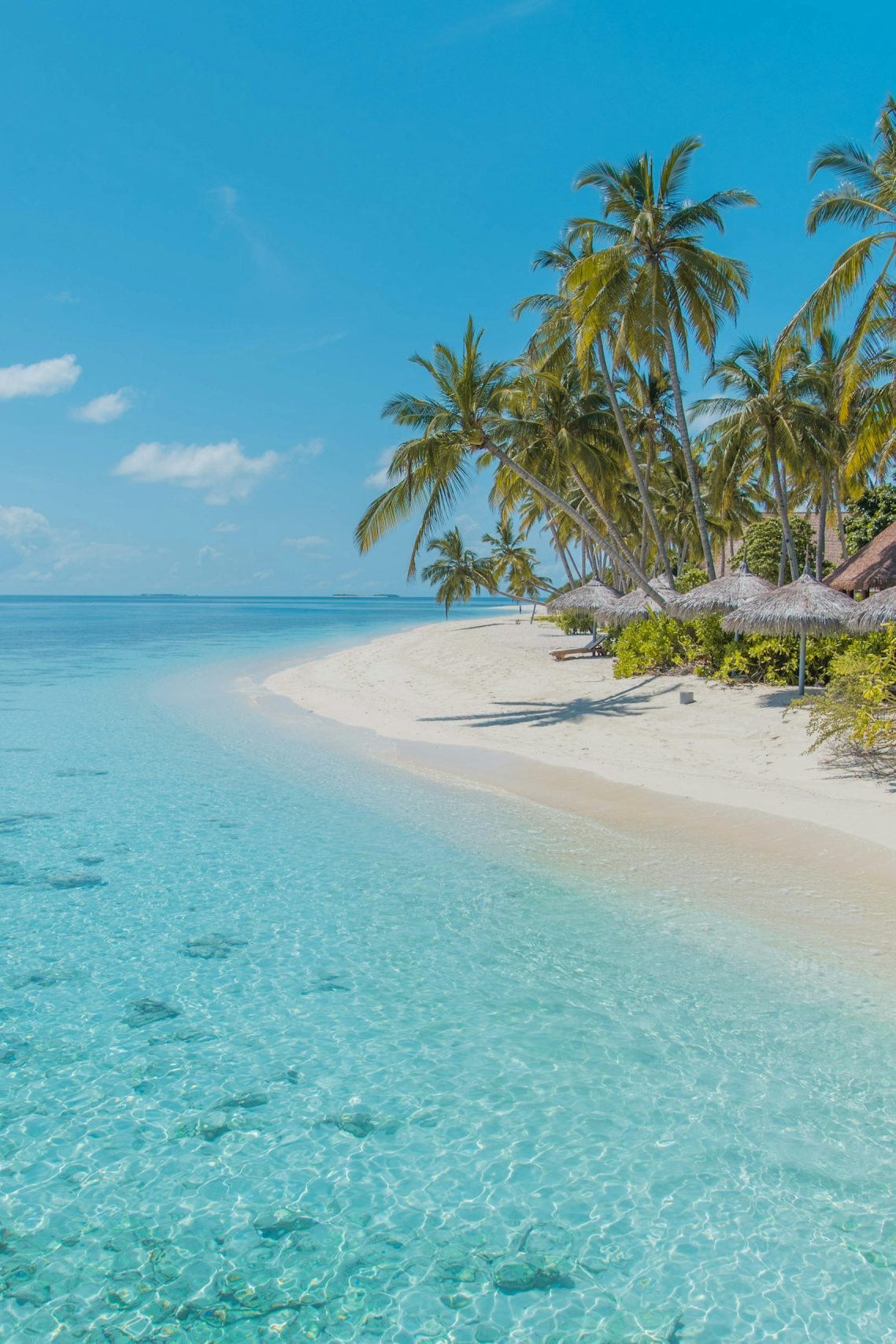 Les Plus Belles Iles Le Guide des plus belles îles des Maldives