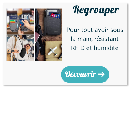 rangement document voyage portefeuille RFID