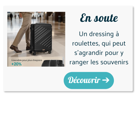 valise soute a roulettes