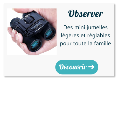 mini jumelles compactes de voyage pour adulte et enfant